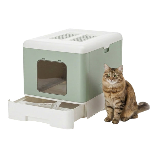SAHARA Katzentoilette