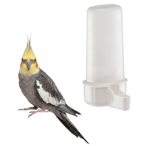 Wasser- oder Futterspender für Vögel