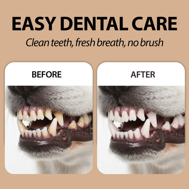 DENTALE FINGERPADS ZUR EINMALIGEN VERWENDUNG NATURÉ – FÜR HUNDE UND KATZEN (50 Stück)