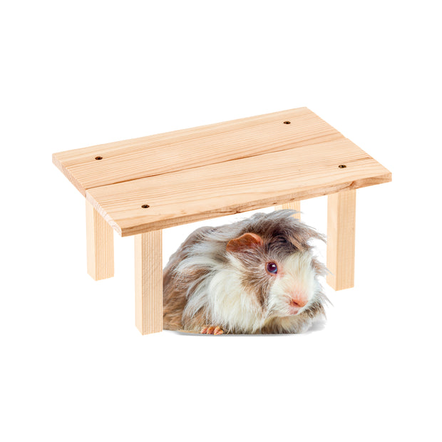 ARCADE TABLE Holzspielzeug für Kleintiere