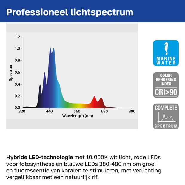 AQ-LUX REEF LED-Lampe