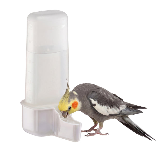 Wasser- oder Futterspender für Vögel
