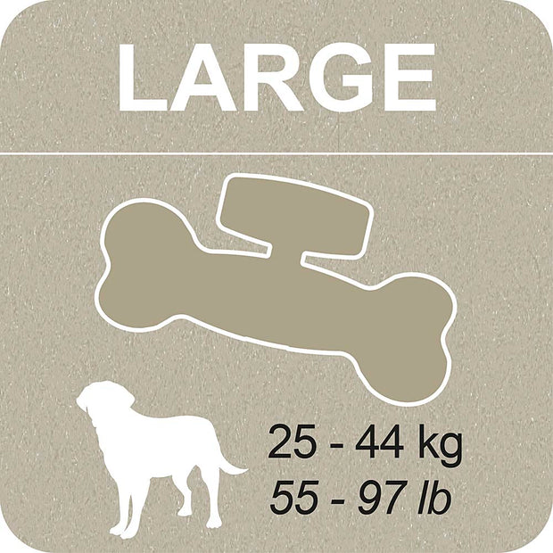 100% SNACK BEFÜLLBAR - BONE EUGLENA