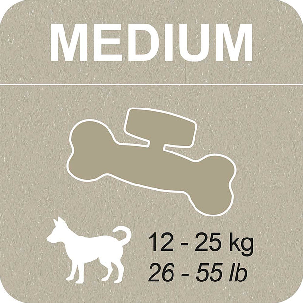 100% SNACK BEFÜLLBAR - BONE EUGLENA