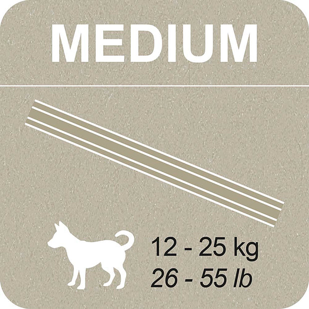 100% SNACK STICKS - SNOWFLAKE EUGLENA