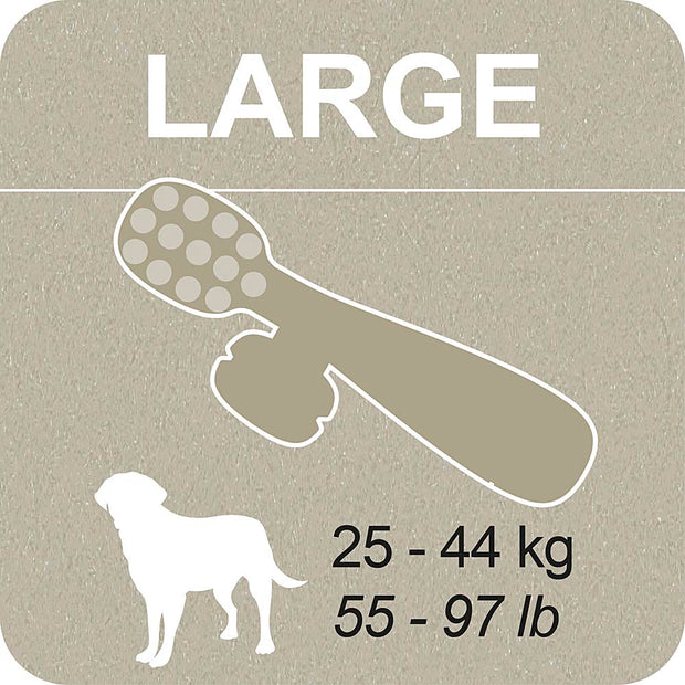 100% SNACK BEFÜLLBAR -  TOOTHBRUSH ASCOPHILLUM