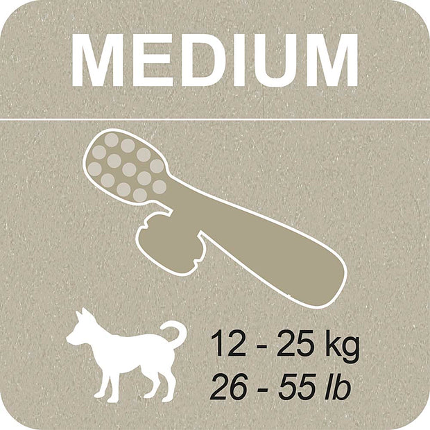 100% SNACK BEFÜLLBAR -  TOOTHBRUSH ASCOPHILLUM