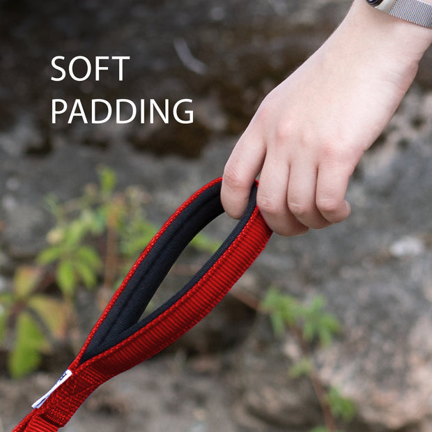 DAYTONA GM 25/100