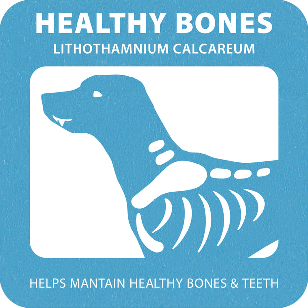 100% SNACK STICKS - SNOWFLAKE LITHOTHAMNIUM