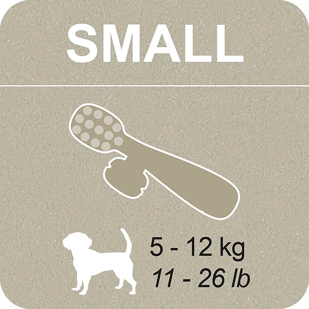 100% SNACK BEFÜLLBAR - TOOTHBRUSH ASCOPHILLUM